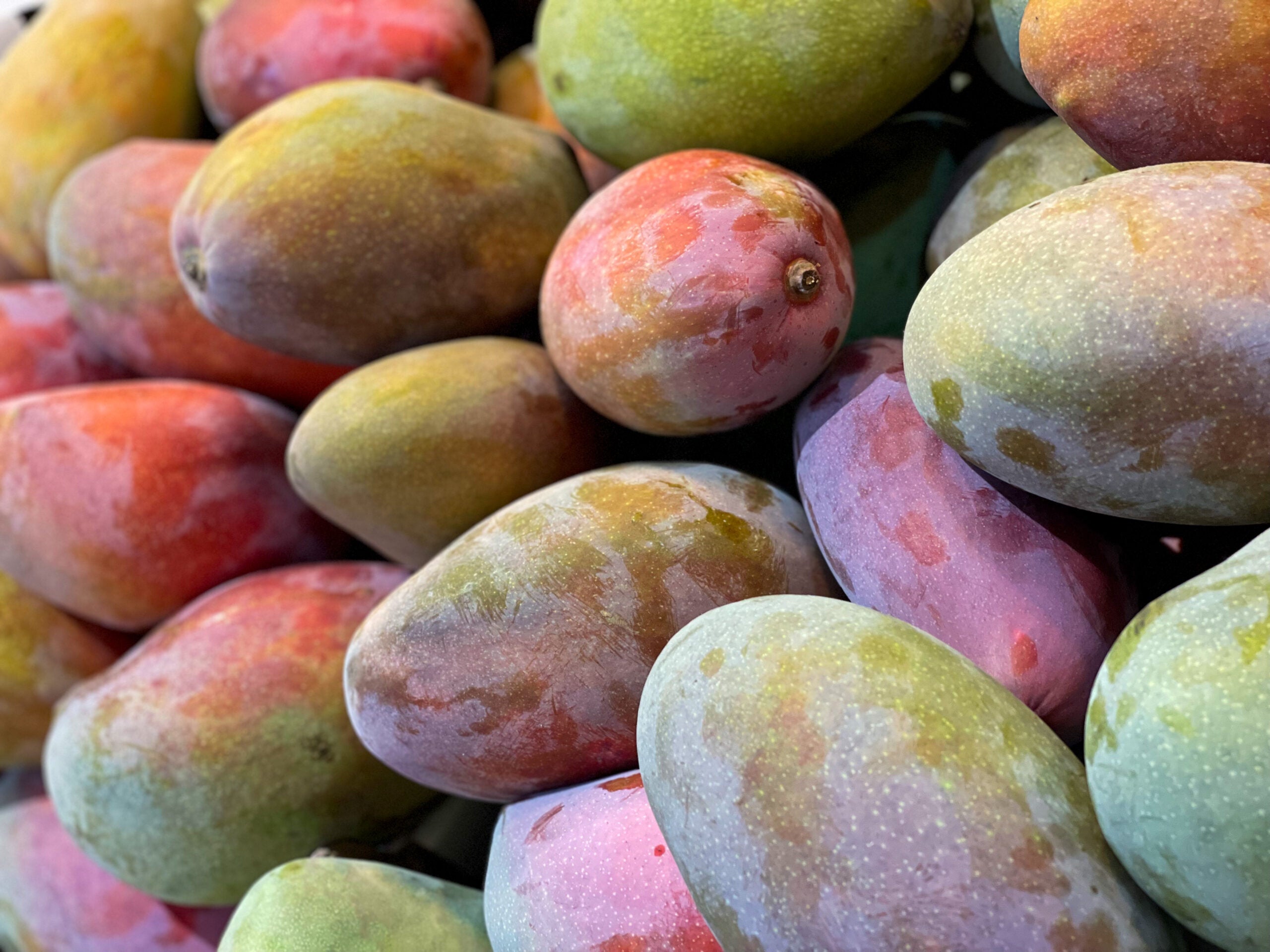 MANGO MÁLAGA 500gr