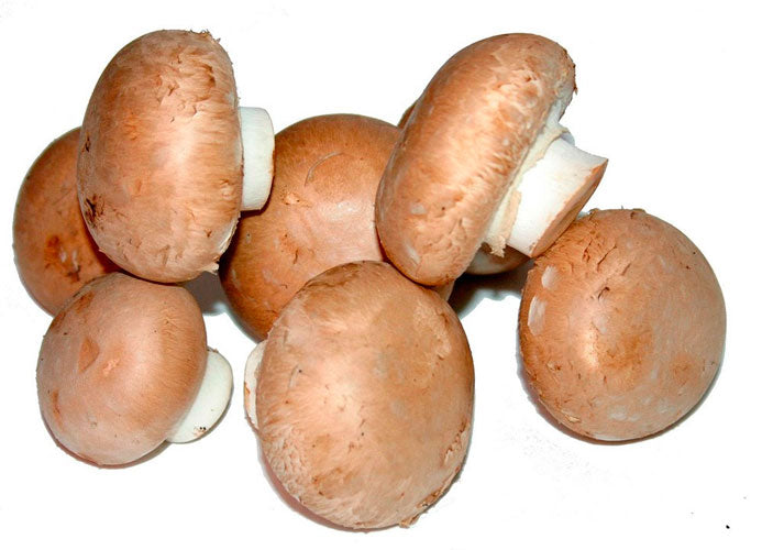 CHAMPIÑÓN PORTOBELLO 250gr