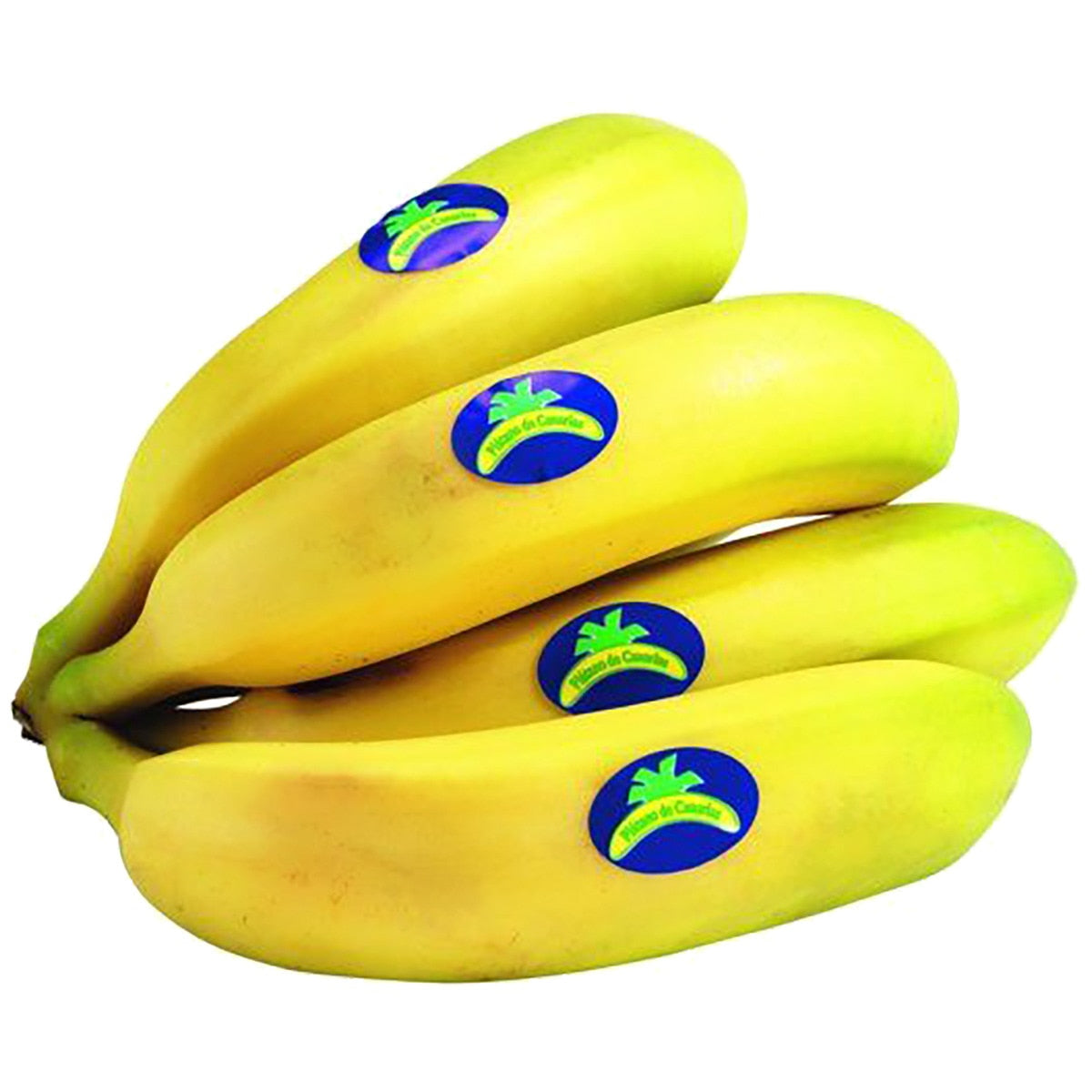 PLATANO CANARIAS 500gr