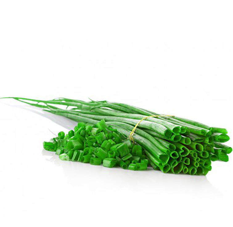 CEBOLLINO BANDEJA ud