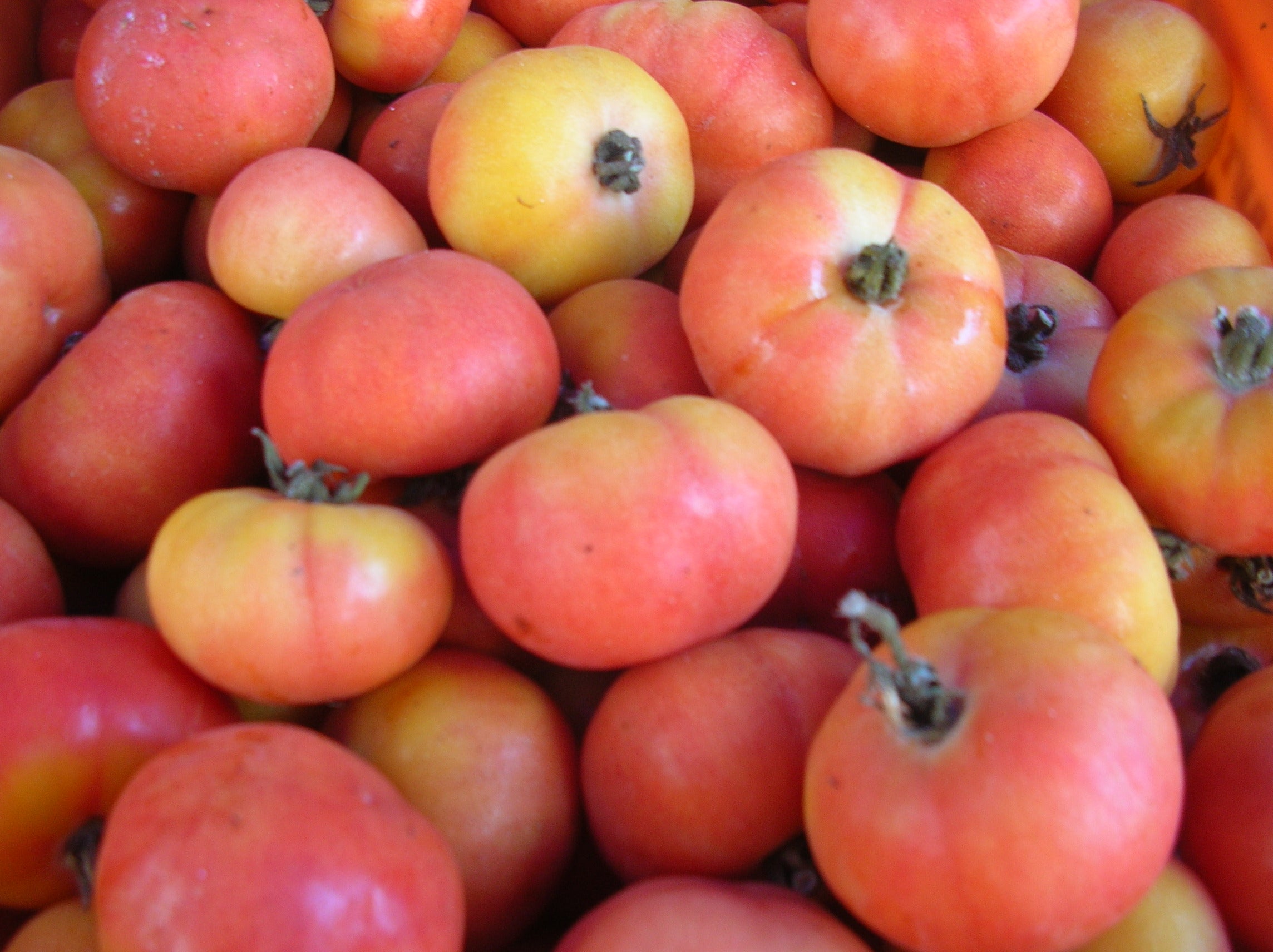 TOMATE RAMALLET 500gr