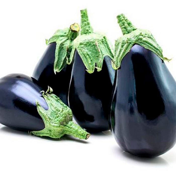 BERENJENA NEGRA 500gr
