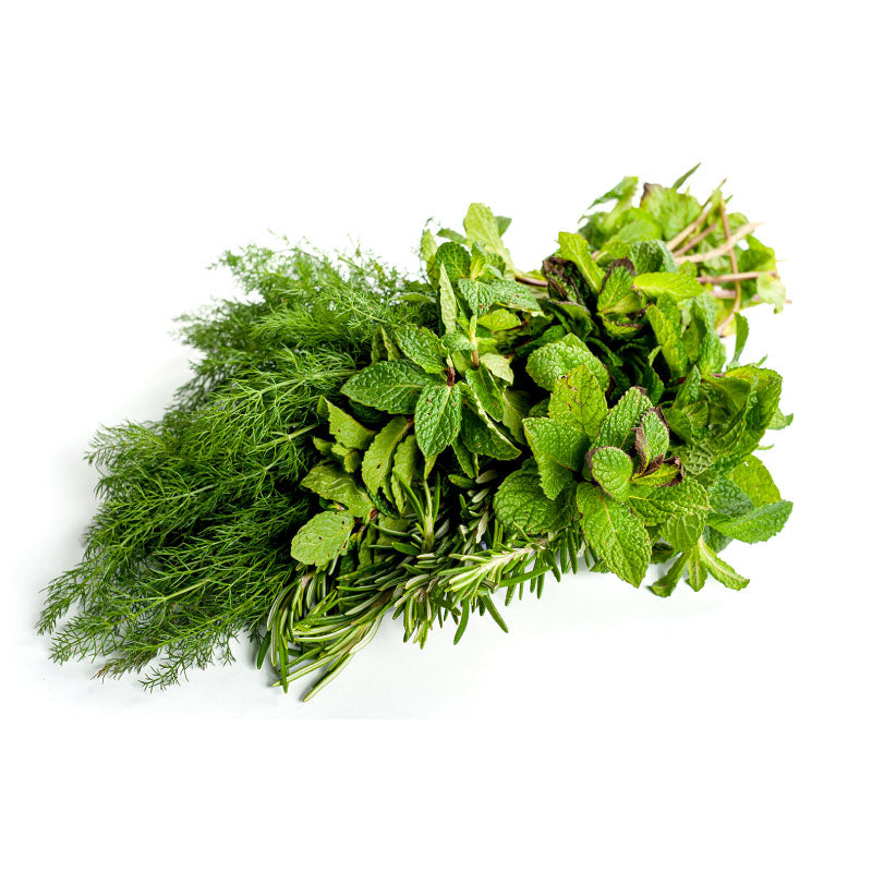 HIERBAS CARACOLES BANDEJA