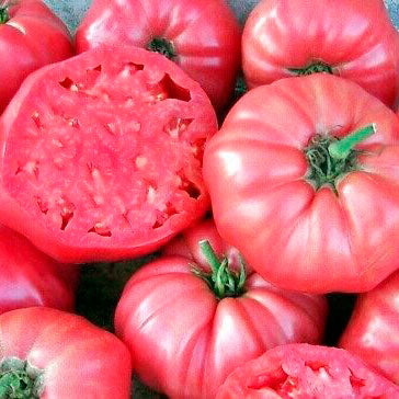 TOMATE ROSA 500gr