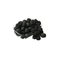 MORAS