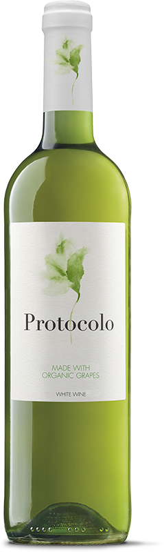 Protocolo blanco