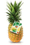 PIÑA AVIÓN 500gr